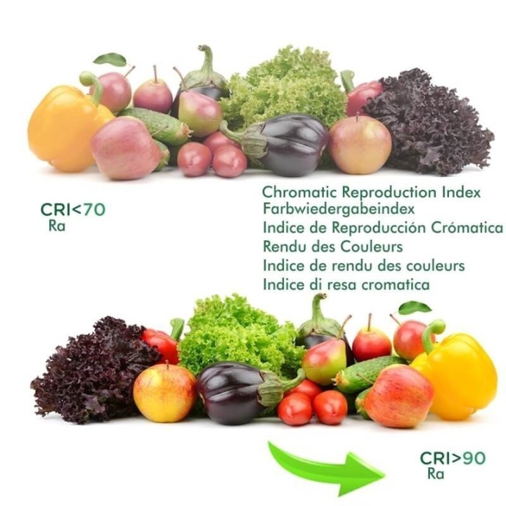 ACHETER Spot LED LYDIA BLANC pour Monophasé rail 40W- 24º