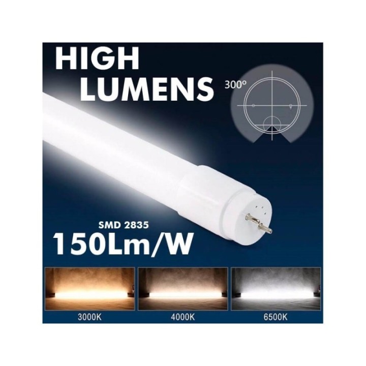 Tube LED - 60cm - 8w - 1040 Lumens - verre