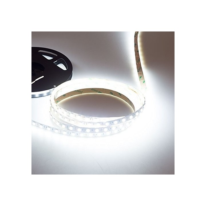 Ruban LED Intérieur 24 Volts LED 16 Watts - 5 Mètres