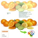 cri-rendu-colorimétrique-eleve-naturel cri-rendu-colorimétrique-eleve-naturel