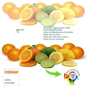 cri-rendu-colorimétrique-eleve-naturel