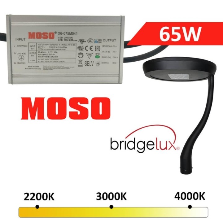 Réverbère LED 65 watts noir | Aluminium une branche | Éclairage Extérieur