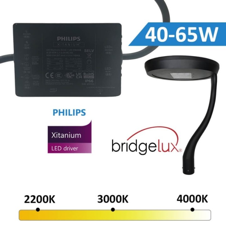 Réverbère LED 65 watts noir | Aluminium une branche | Éclairage Extérieur