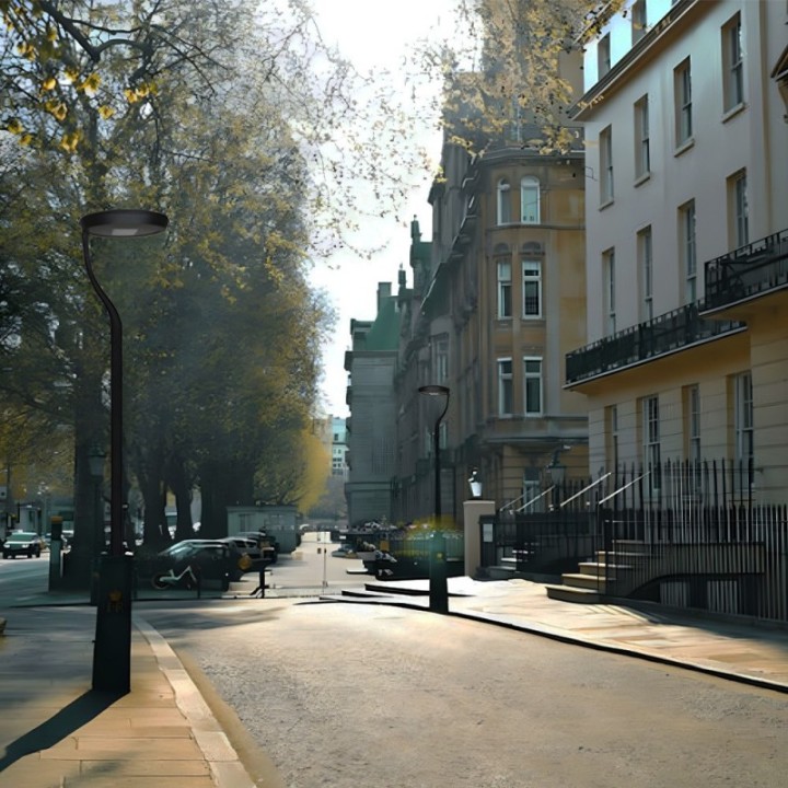 Réverbère LED 65 watts noir | Aluminium une branche | Éclairage Extérieur